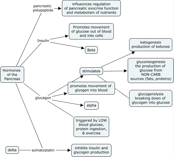 pancreatic hormones